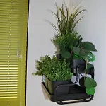Casa El Majorero Appartement Puerto del Rosario (Fuerteventura)
