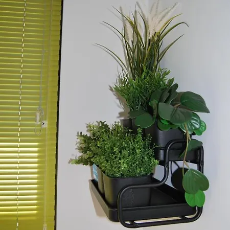 Casa El Majorero Apartament Puerto del Rosario (Fuerteventura)