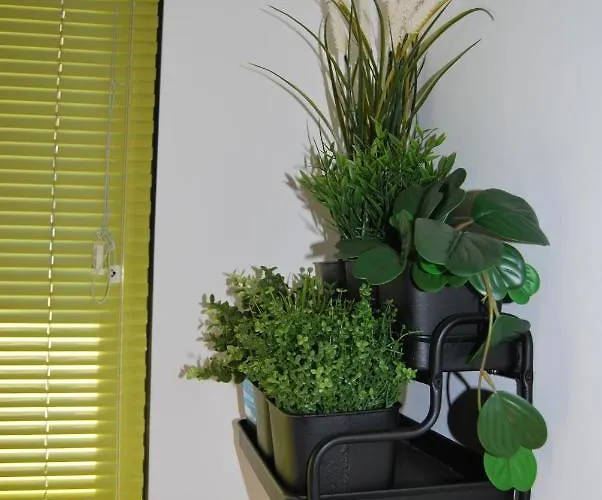 Casa El Majorero Lägenhet Puerto del Rosario (Fuerteventura)